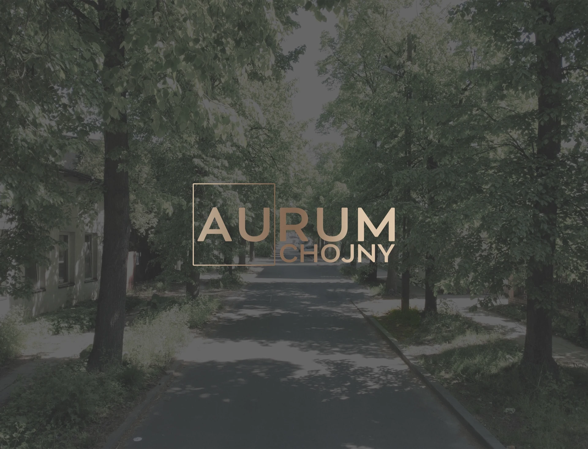 Migawki z Aurum