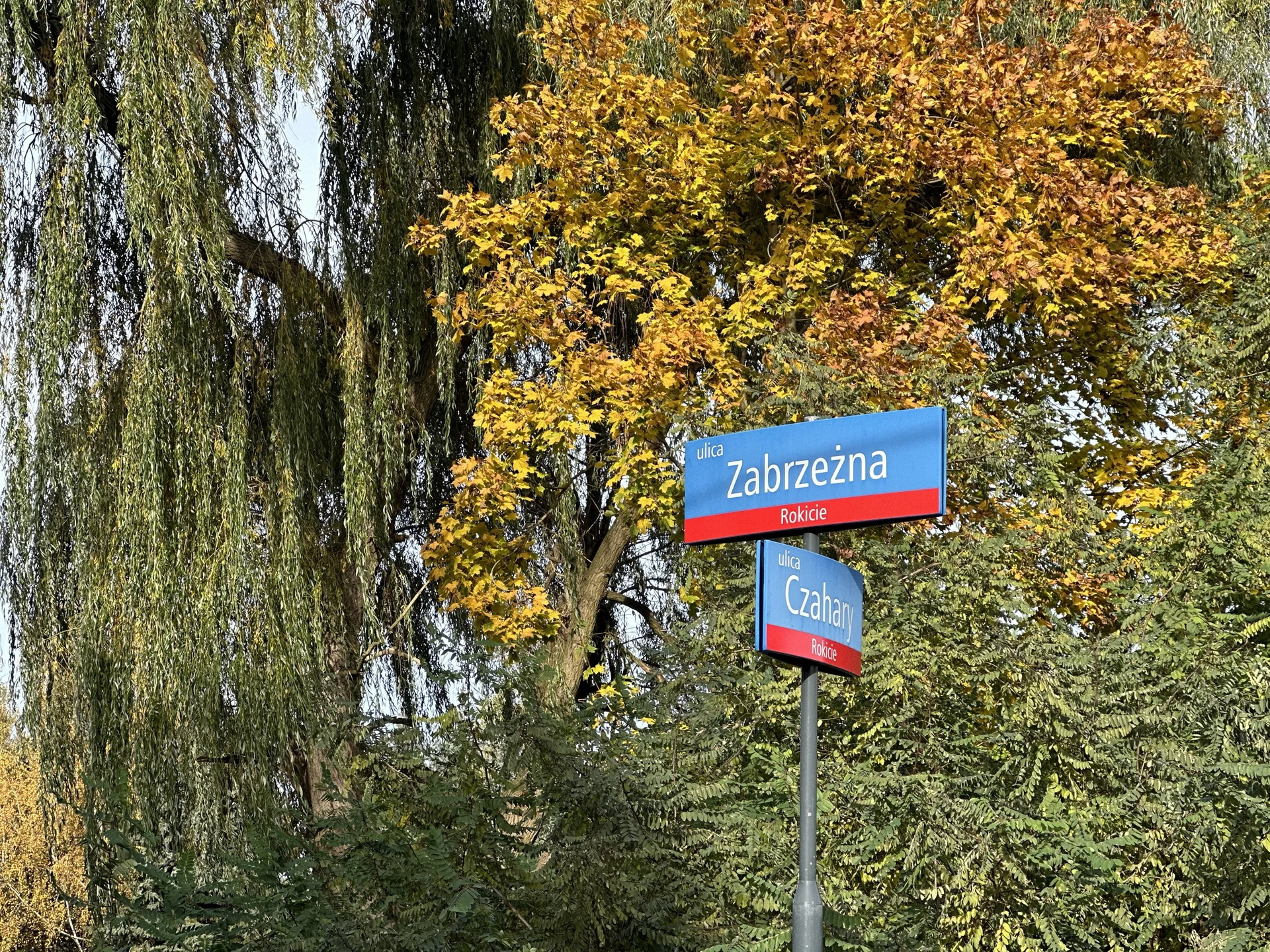 Latem czy jesienią?
